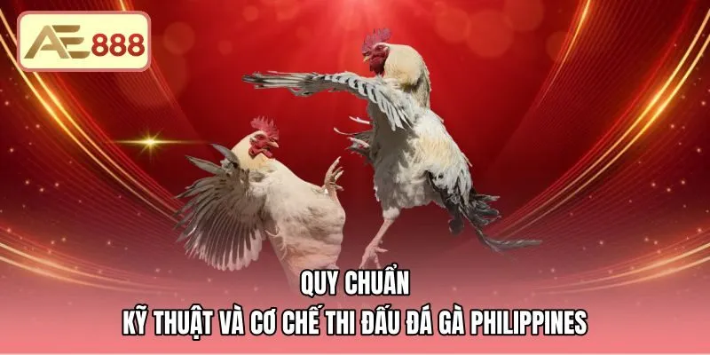Bản chất đá gà Philippines là gì qua quy chuẩn cựa dao