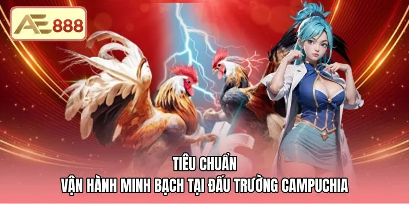 Tiêu chuẩn vận hành minh bạch của trường đấu Thomo Campuchia